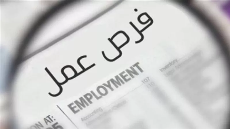 فرصة ذهبية لا تعوض  فرص عمل براتب 8 آلاف جنيه .. وزارة العمل تعلن عن وظائف شاغرة مطلوبة 