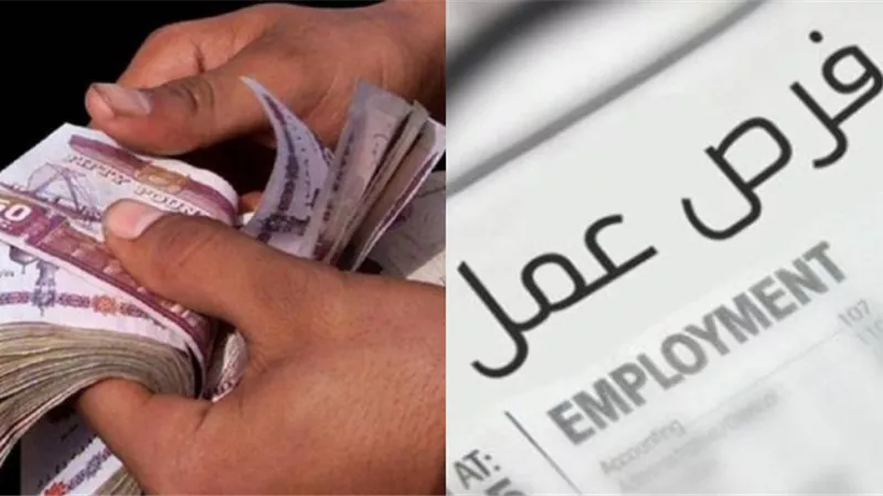 برواتب تصل لـ 8 آلاف جنيه | فرص عمل متاحة في مجال البيع والتسويق .. اعرف التفاصيل وآخر موعد للتسجيل