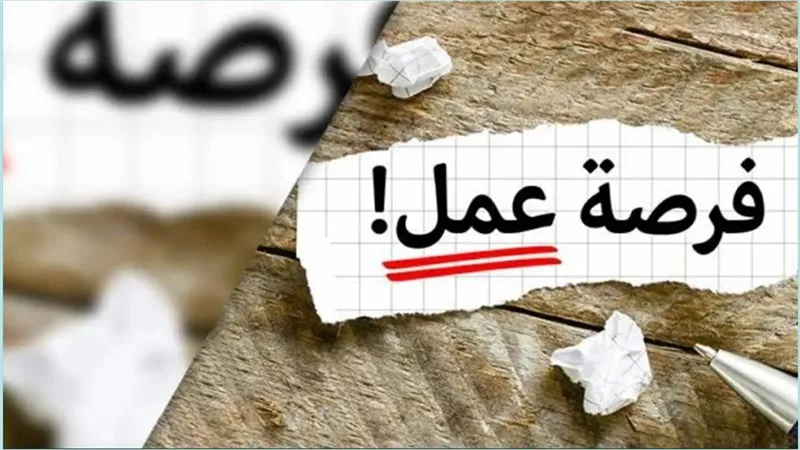 وظائف فرصنا 2026 برواتب تصل 15 ألف جنيه للشباب بمختلف التخصصات والمؤهلات