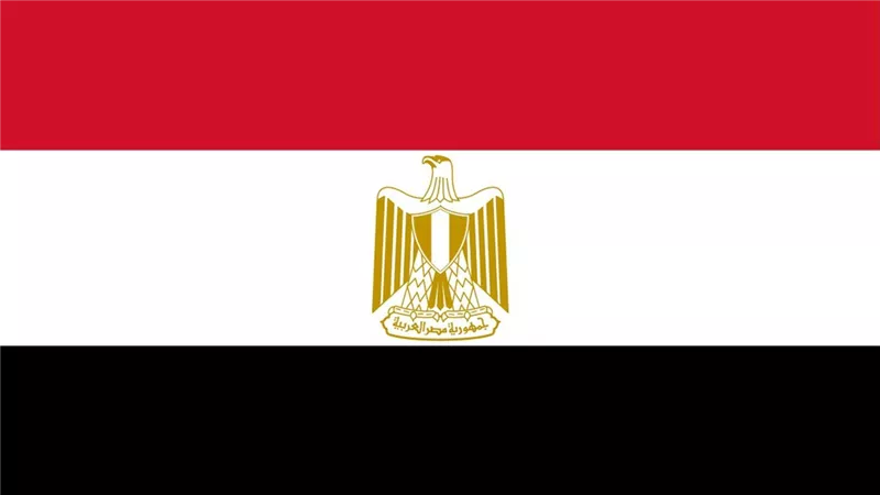 تحرك عاجل من سفارة مصر في لبنان.. مصر تتحرك وبقوة بشأن هذا الأمر