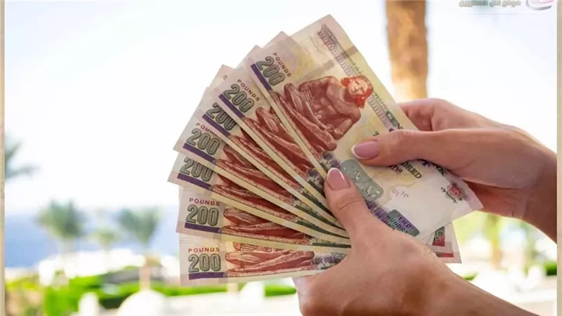 أعلى عوائد شهادات الادخار في مصر بعد طرح منتجات جديدة بعائد يصل إلى 22%