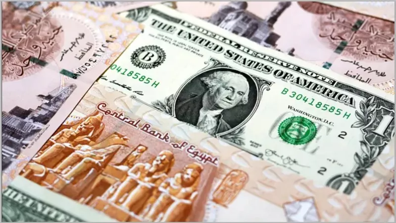 سعر الدولار مقابل الجنيه المصري اليوم 16 أكتوبر 2024 في 10 بنوك | 500 دولار أخضر بكام بالسوق السوداء؟