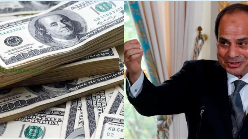 سعر الدولار مقابل الجنيه في البنوك اليوم بعد إنتقاد الرئيس السيسي لصندوق النقد الدولي .. ماذا حدث للعملة الامريكية ؟