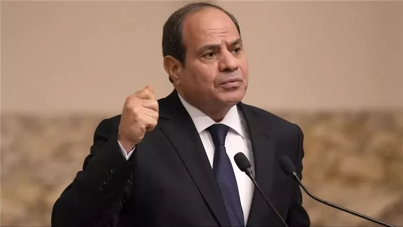 الرئيس السيسي: 
