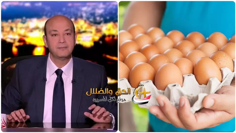 عمرو أديب عن استيراد البيض من تركيا: 