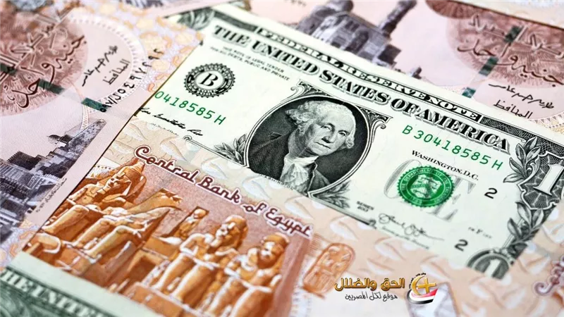 هل يقترب انخفاض سعر الدولار مقابل الجنيه المصري؟ تحليل تأثير مراجعة صندوق النقد الدولي على الاقتصاد المصري