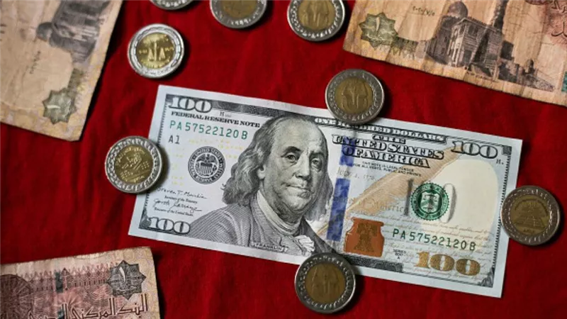 الدولار في السوق السوداء بكام جنيه : سعر صرف الدولار في منتصف تعاملات اليوم في البنوك والأسواق الغير رسمية بعد قرار الفائدة 