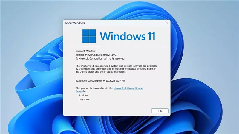 مايكروسوفت تحذر من خطأ برمجي في تحديث Windows 11 24H2، ما القصة؟