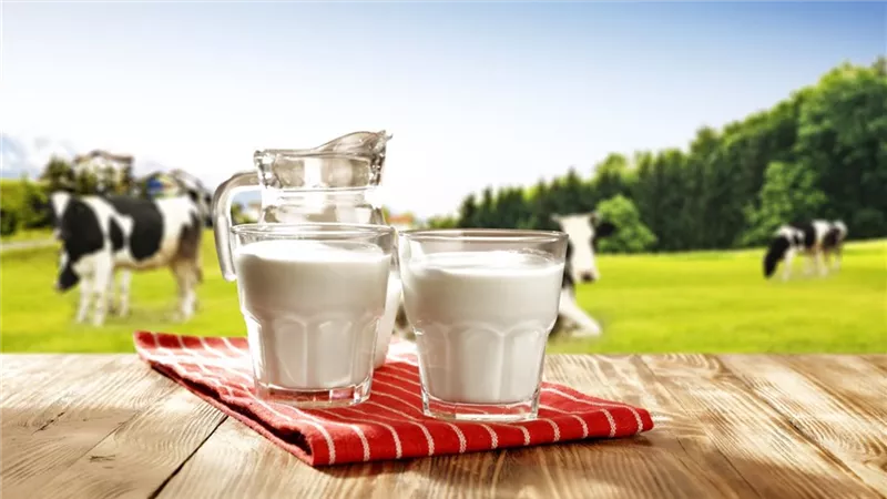 الخبر للسيدات ....لن تتوقعوا ما سيحدث لجسمك بعد شرب اللبن البقري على معدة فارغة كل صباح