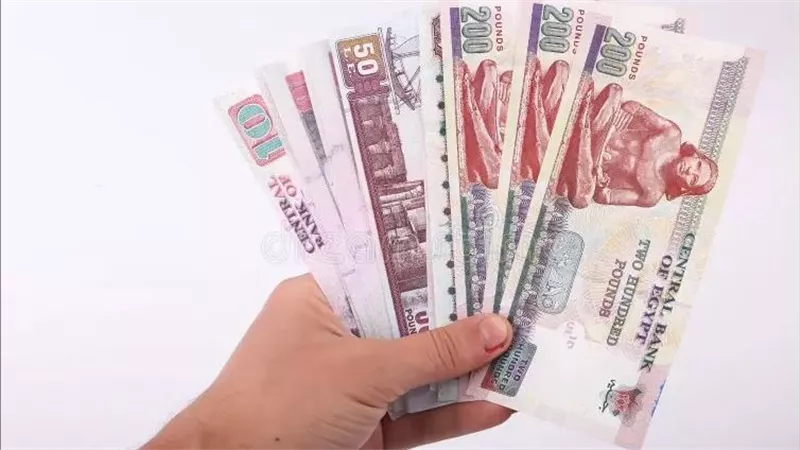 شوف هتقبض كام؟ .. تطبيق الحد الأدنى للأجور 2024 على العمالة المؤقتة في الجهات الحكومية|تفاصيل زيادة المرتبات في القطاعين الحكومي والخاص