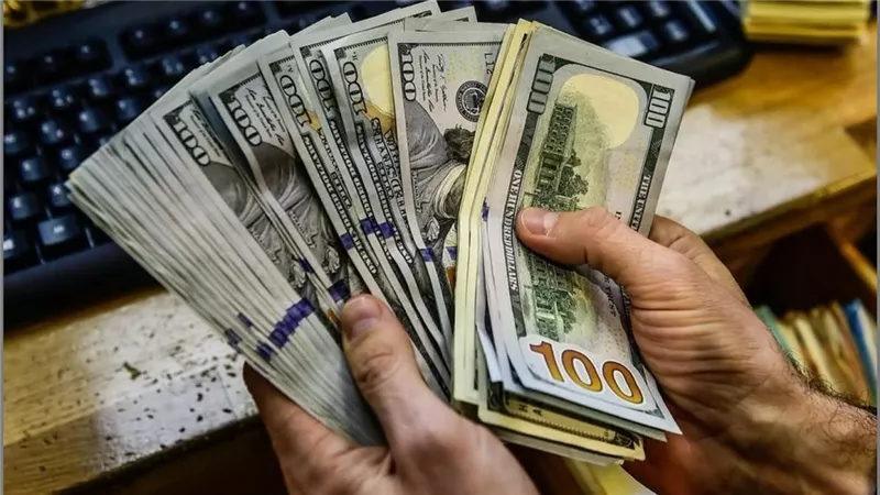 الأخضر ركب الترند من جديد.. ارتفاع سعر الدولار اليوم مقابل الجنيه المصري بالبنوك والسوق السوداء - تحديثات ختام تعاملات 19 نوفمبر 2024