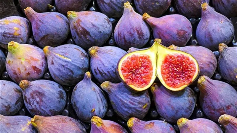 لن تتخيل كم الفوائد التي سيجنيها جسمك بعد تناول فاكهة التين البرشومي