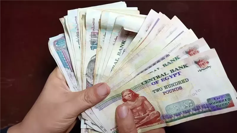 رسمياً : تطبيق رفع الحد اﻻدني لاجور هؤﻻء وهذا موعد زيادة المعاشات والمرتبات 