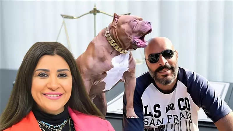 السبب كلب بيتبول.. زوج الإعلامية أميرة أبو شنب يدفع تعويض مالي 30 مليون جنيه 