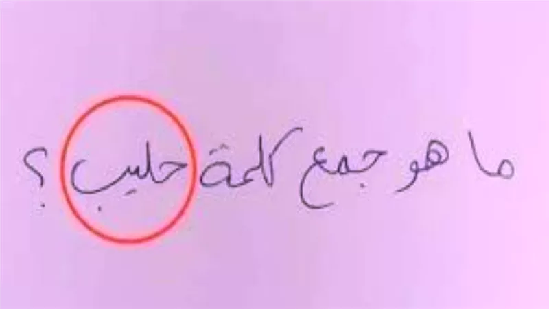 قبل امتحانات نصف العام 2025: الإجابة الصحيحة والمفاجئة عن جمع كلمة 