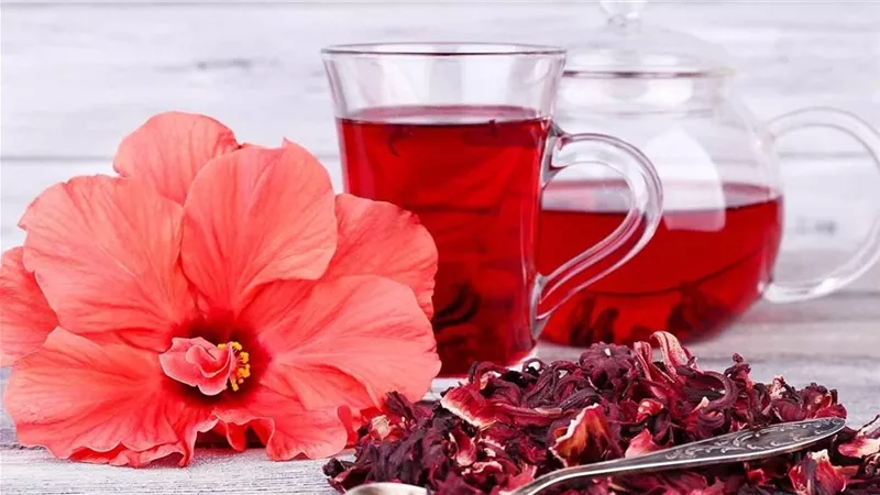 شاي الإمبراطورية ونبتة الجمال .. الكركديه فوائده عظيمة لاتعد ولاتحصى للشعر والبشره 