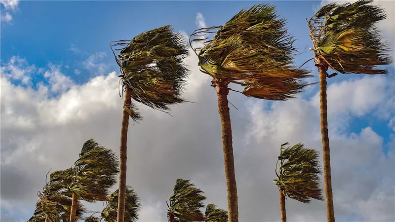 يسبب عذه ظواهر جوية .. منخفض جوي جديد يضرب البلاد خلال أيام
