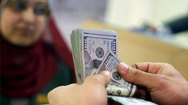الأخضر شد الفرامل .. سعر الدولار في السوق السوداء اليوم خلال عطلات البنوك بمصر وهبوط الصرف بـ15 بنكاً هتحول 500 دولار بكام جنيه مصري؟