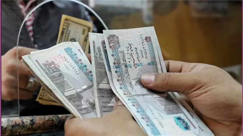 البنك الأهلي المصري يرسل رسالة عاجلة لجميع العملاء الإعلان عن قرار هام تم تفعيله بجميع فروع البنك بمحافظات مصر هل وصلتك الرسالة؟