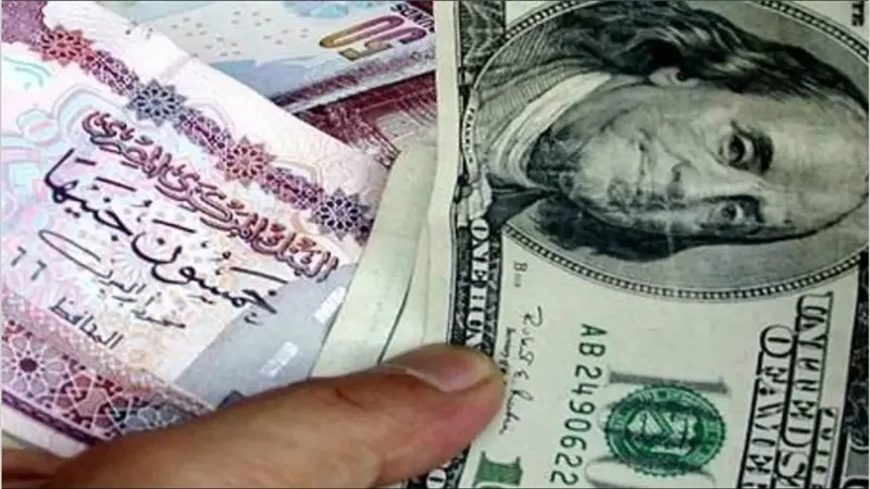 هبوط العمله الخضراء امام الجنيه المصري داخل 7 بنوك قبل غلق تعاملات اليوم 