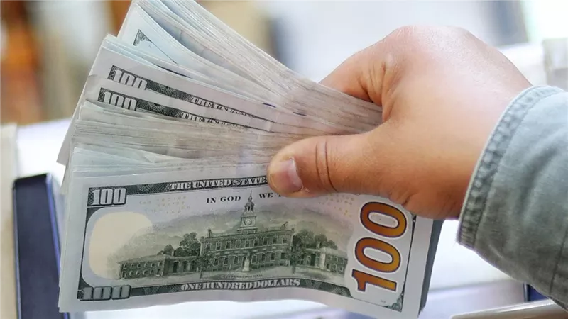 سعر الدولار مقابل الجنيه المصري اليوم: الأخضر يسجل أرقامًا جديدة بالبنوك والسوق السوداء الجمعة 24-1-2025 | 