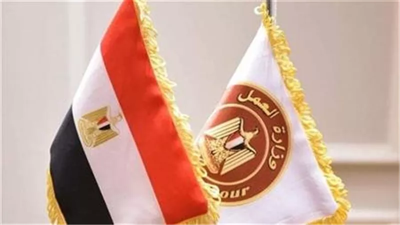 فرص عمل جديدة لعام 2025: وزارة العمل توفر 2036 وظيفة في 7 محافظات | وهذه الفئات ضمن أولويات التوظيف