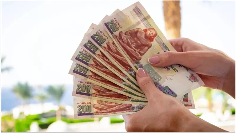 شهادة البنك الأهلي البلاتينية 2026 بعائد 17.25% وأرباح 100 ألف جنيه