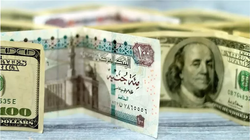 سعر الدولار اليوم  في 16 بنكًا : تحذيرات بخصوص تقلبات سعر الصرف هل هناك تحولات قادمة في السوق بعد قرارات البنك المركزي؟