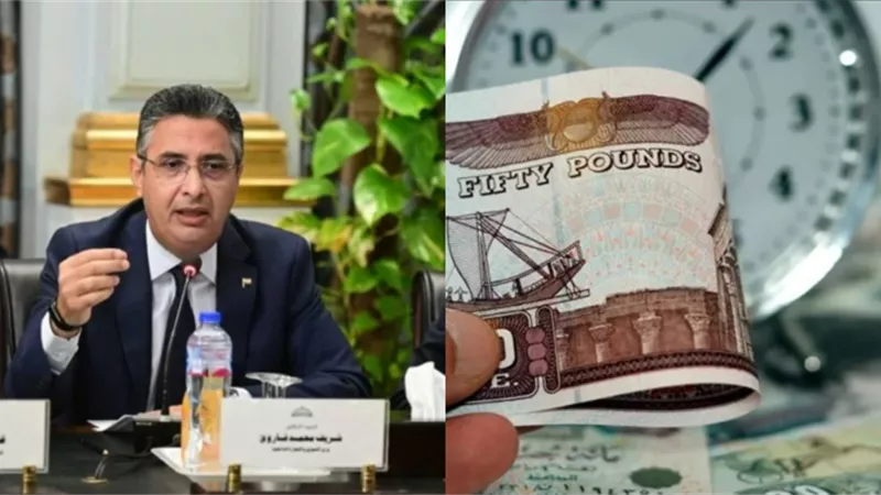 مفيش سكر وزيت .. وقف بطاقات التموين لهذه الفئات نهائياً ومفاجأة بشأن موعد تطبيق الدعم النقدي متي يتم صرف فلوس بدلاً من السلع التموينية؟
