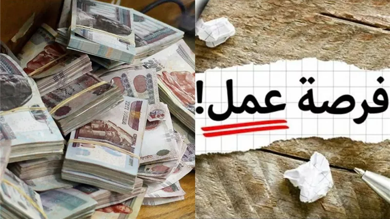 مفيش راحة أكتر من كده فرص عمل من البيت برواتب تصل لـ 20 ألف جنيه.. وظائف متاحة الآن في هذه التخصصات | الشروط والمستندات المطلوبة