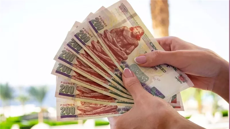 مفاجأة سارة للآلاف.. التأمينات تكشف الفئات المستحقة للدعم وفقًا لـ 