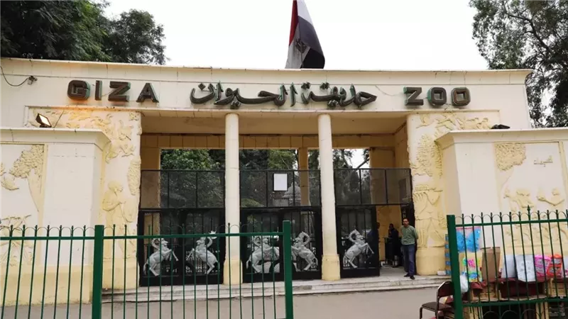 حقيقة ارتفاع سعر تذكرة حديقة الحيوان بعد الإعلان عن موعد افتتاحها.. مصادر تحسم الجدل
