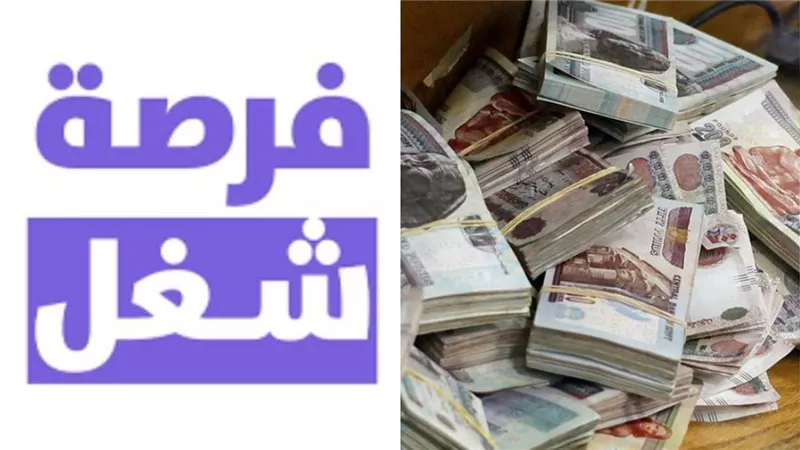 فرص عمل لا تفوّت .. وزارة الشباب والرياضة تعلن عن وظائف خالية في هذا المجال براتب يصل إلى 13 ألف جنيه بـ 11 محافظة