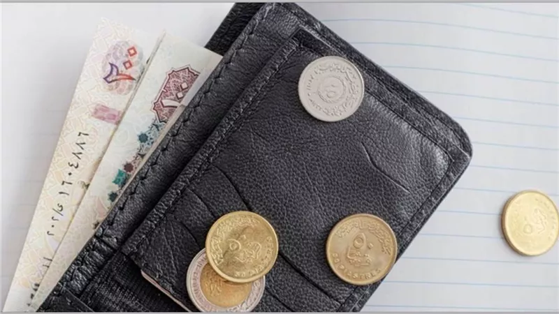 بعد تثبيت أسعار الفائدة.. ما هي أعلى شهادة ادخار في مصر الآن؟ عائد 27% سنويًا أم 23.5% شهريًا – 