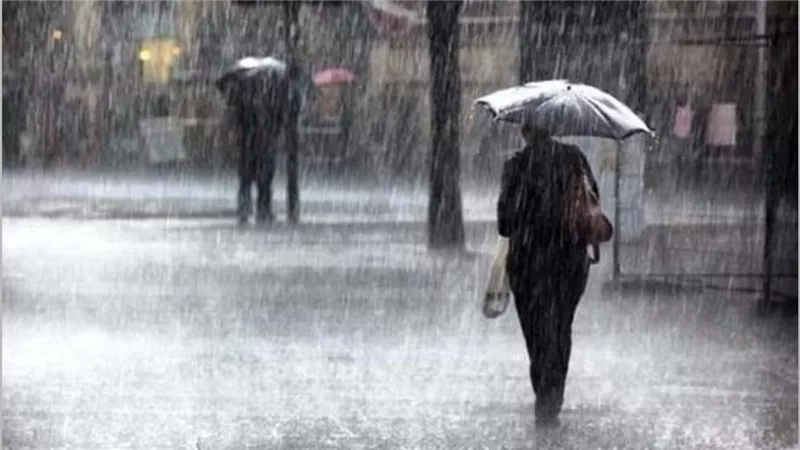 أجواء باردة وضباب .. تقلبات جوية حادة وأمطار وانخفاض كبير في درجات الحراره بدايه من الغد حتى هذا الموعد