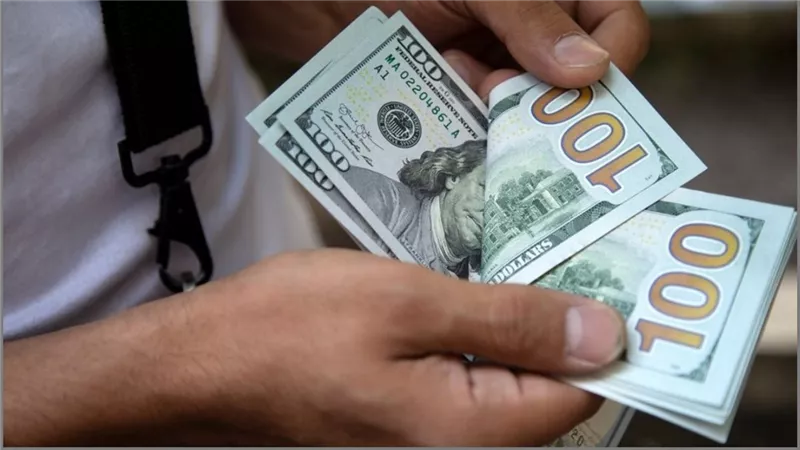 بكــام الاخضر انهارده .. سعر الدولار مقابل الجنيه اليوم الأربعاء 12 مارس 2025 داخل البنوك المصرية