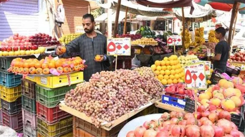 أسعار الخضراوات والفاكهة اليوم 5 سبتمبر 2025.. البطاطس 6.5 جنيه والطماطم 3 جنيهات
