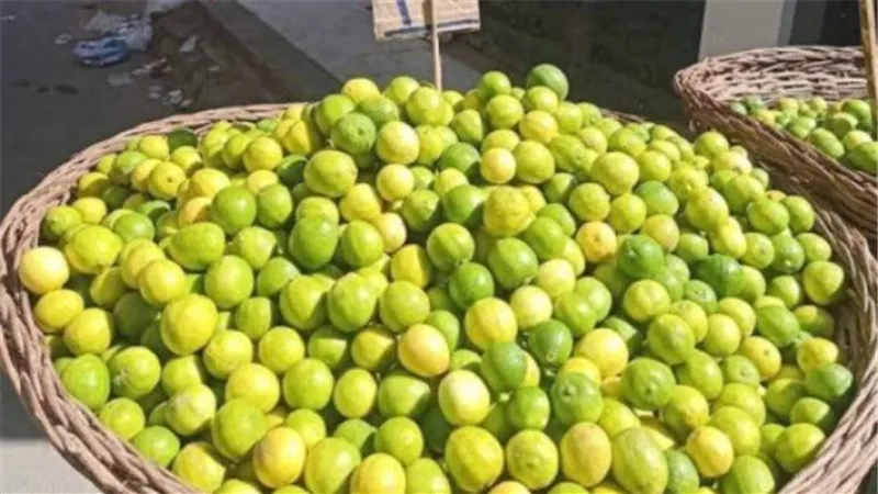 بعد وصول كيلو الليمون البلدي وصل لـ150 جنيها....اعرف سعر الليمون الاضاليا وصل لكام وموعد نزول الاسعار