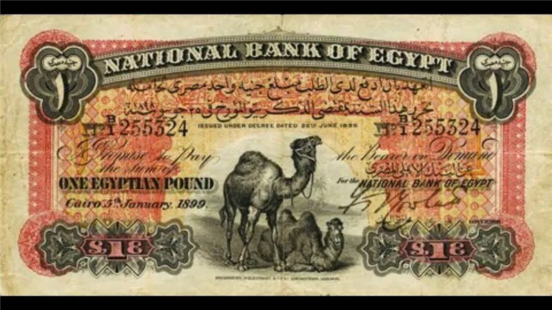 “جنيه واحد هخليك مليارردير” .. الجنيه أبو جملين لو فيه العلامة دي سعرها يساوي الملايين.لو لاقيته في بيتك ستحصد ثروة فاحشة 