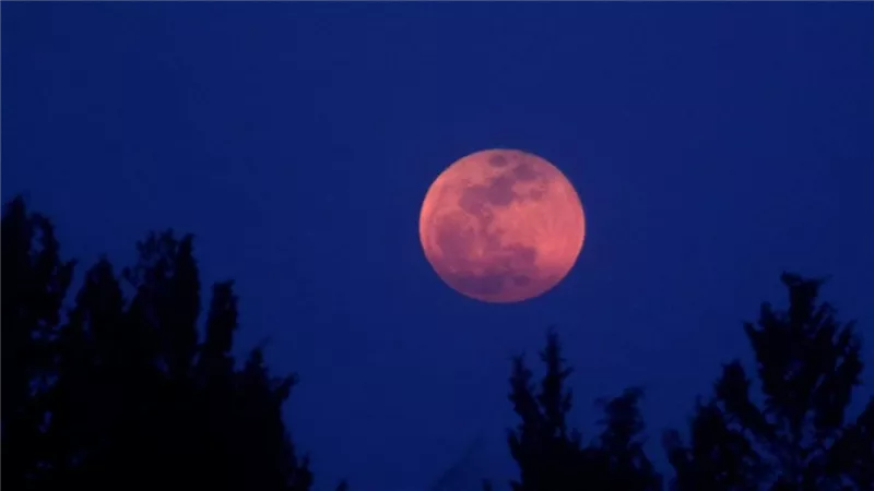 ليالي أكثر تميزا لا تفوتها .. رمضان 2025 يشهد أحداث فلكية مذهلة
