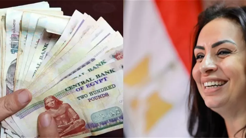 هدية الحكومة للسيدات  قبل عيد الأم :  التأمينات تمنح  دخلاً ثابتًا لكل سيدة غير عاملة 