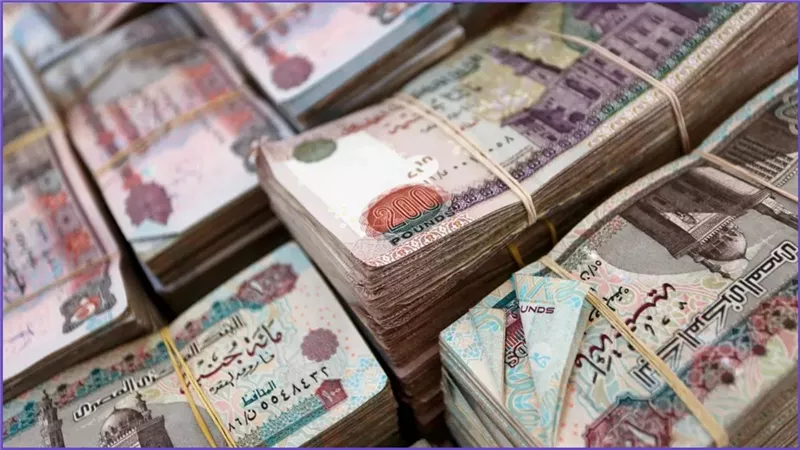 إقبال تاريخي علي البنوك بعد إصدار شهادات الادخار الأعلى عائدًا في مصر لعام 2025 بعد خفض أسعار الفائدة تحقق دخل شهري مضمون