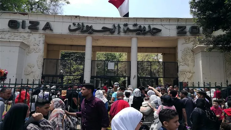 هل تصل تذكرة دخول حديقة الحيوان بالجيزة إلى 400 جنيه؟  ماذا قال وزير الزراعة عن الحقيقة الكاملة وموعد الأفتتاح ؟