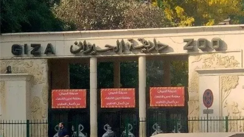 موعد افتتاح حديقة الحيوان بالجيزة .. مدير الحديقة يفجّر مفاجآت مذهلة 