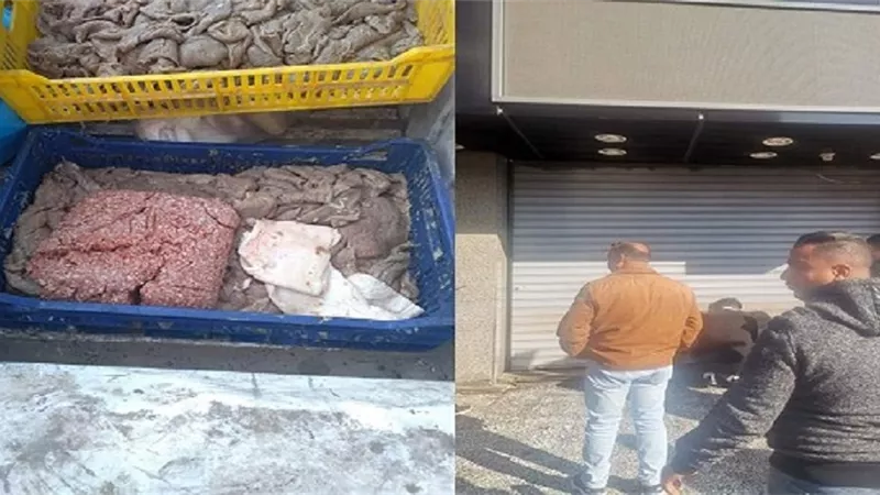  ضبط دواجن ولحوم فاسدة داخل مطعم شاورما شهير في الجيزة يثير ذعر المواطنين والنيابة العامة تصدر قرار صارم ينفذ فوراً وتحذر المستهلكيين ماذا وجدوا؟