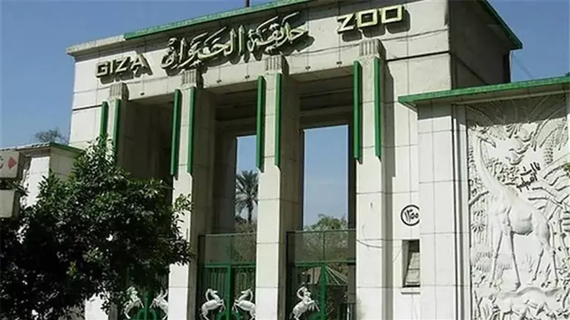 الموعد الرسمي لإعادة إفتتاح حديقة الحيوان بالجيزة 2025 بعد تطويرها