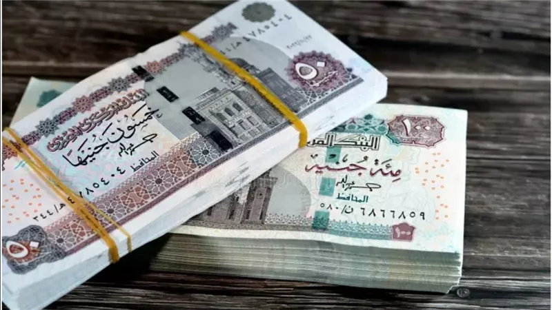 بنك الإمارات دبي الوطني مصر يطرح شهادة ادخار جديدة بعائد 37.5% يُصرف مقدماً