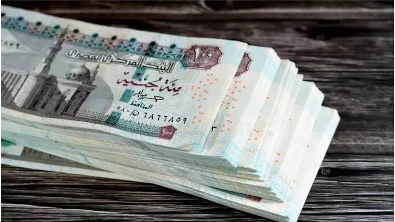 «الفرصة لسة قدامك».. التأمينات الاجتماعية تتيح معاشًا لمن بلغ 45 سنة بهذه الشروط – ماذا ستدفع ومتى تبدأ؟