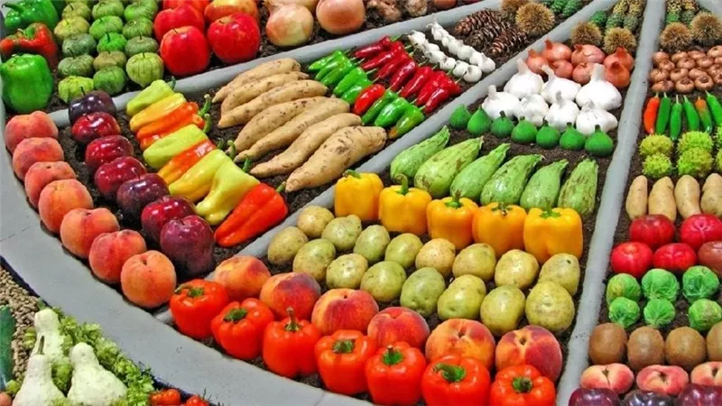أسعار الخضراوات والفاكهة اليوم الجمعة 29 أغسطس 2025 واستقرار الأسعار في الأسواق المحلية 
