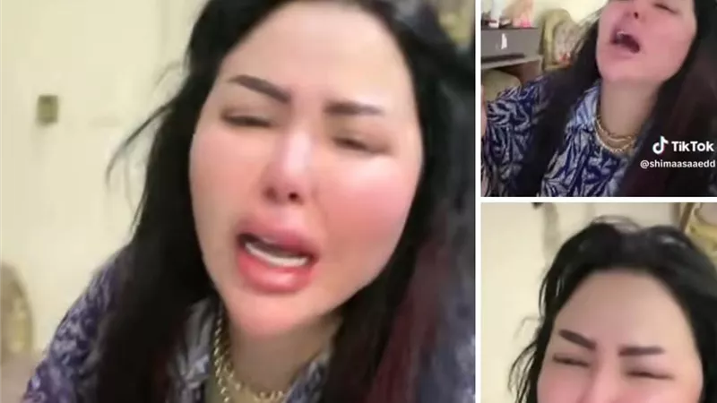 ضربها وسرق  دهبها.. ماهى العقوبات التى تنتظر إسماعيل الليثي بعد انهيار شيماء سعيد على مواقع التواصل الآجتماعى